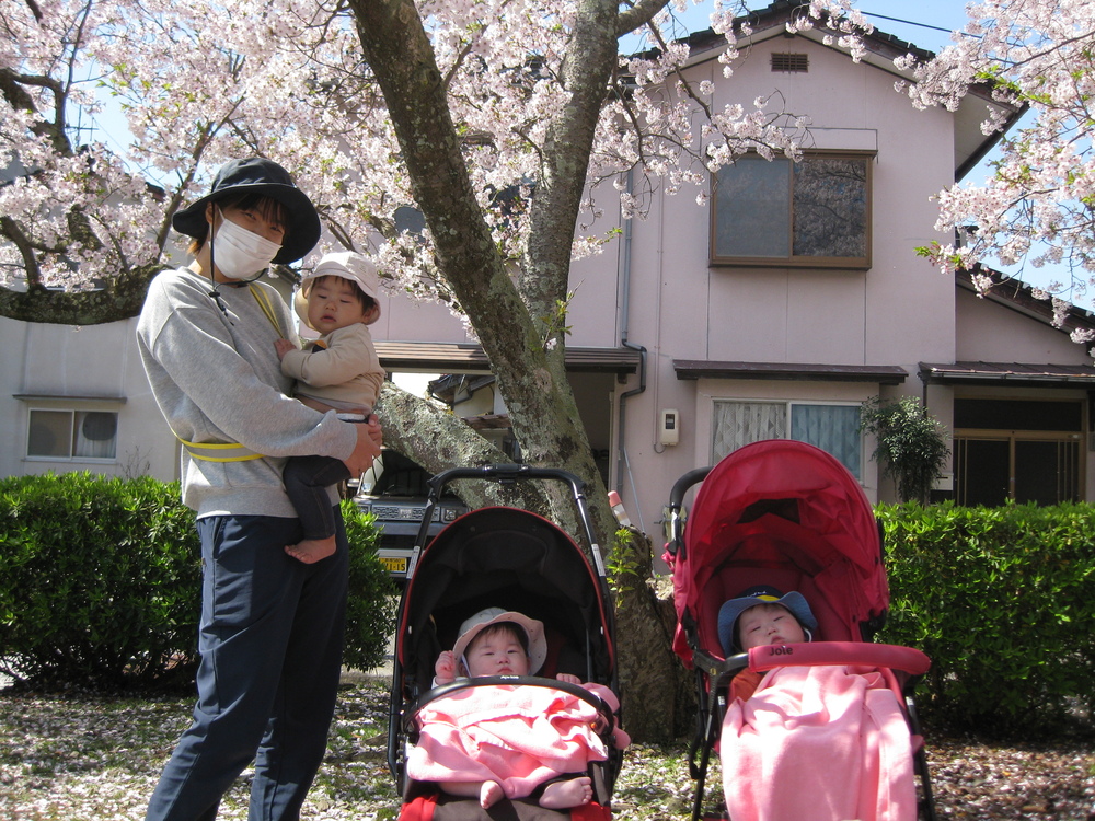 桜の下で集合写真