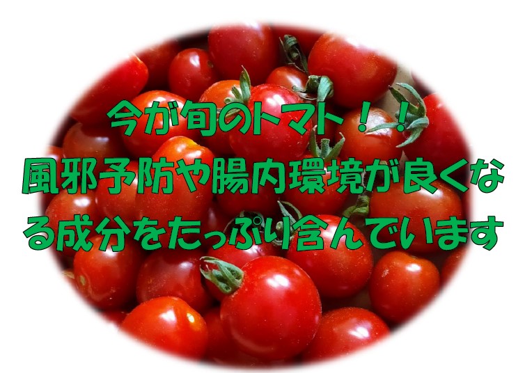 旬のトマトには栄養がたくさん