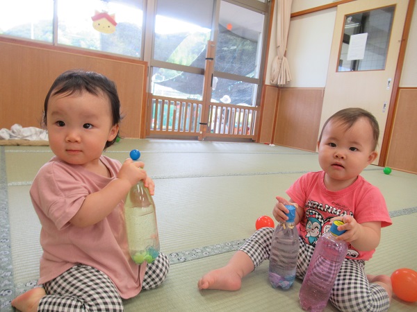 ペットボトルのおもちゃで遊んでいる。