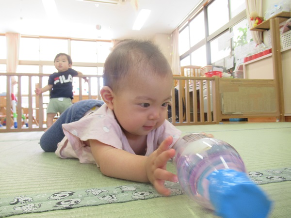 ペットボトルのおもちゃを見つめている