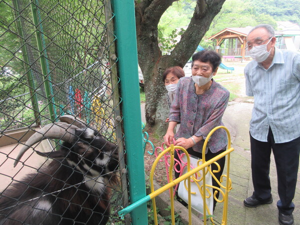 動物を見ているところ1