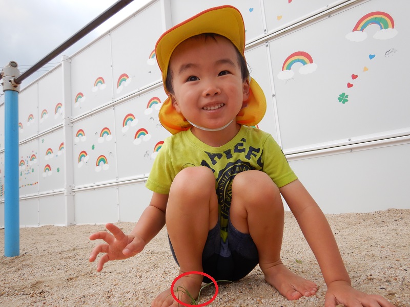 砂に草を立てる男の子