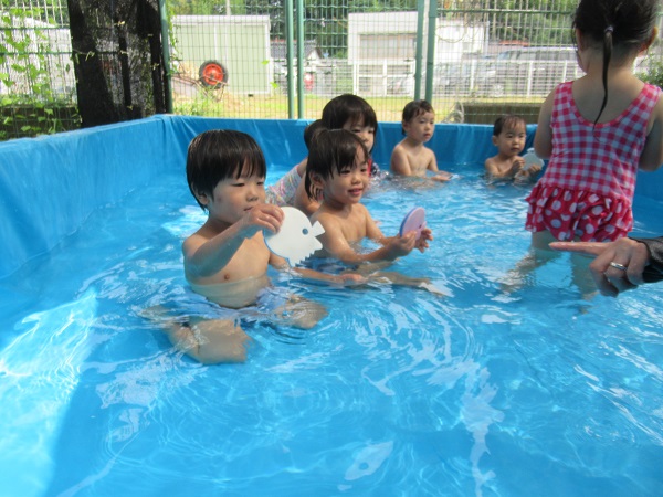 海の生き物を拾っている。