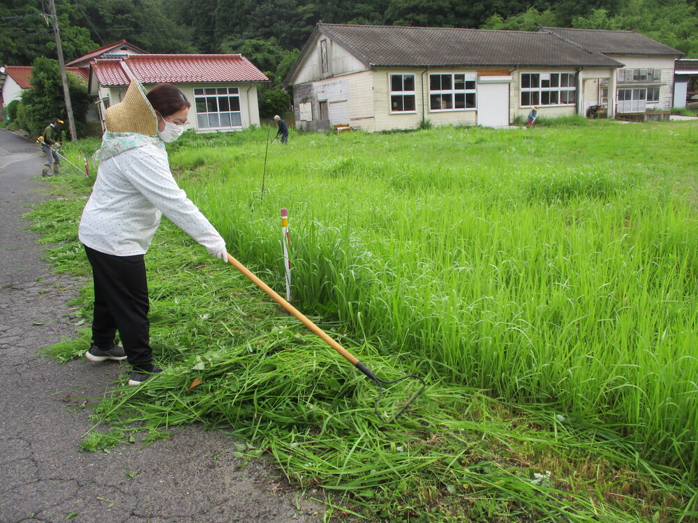 草寄せの様子