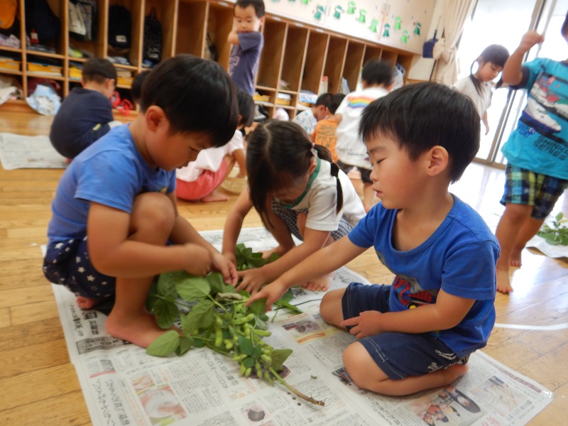 枝豆を枝から取るこどもたち