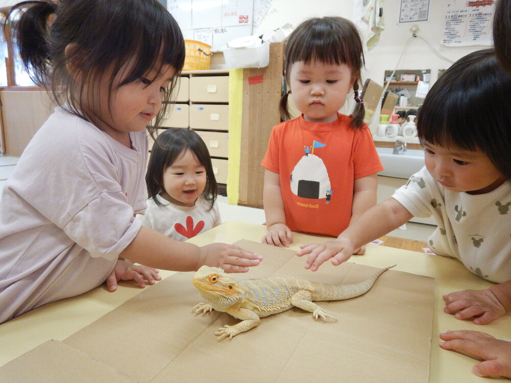 生き物と触れ合う