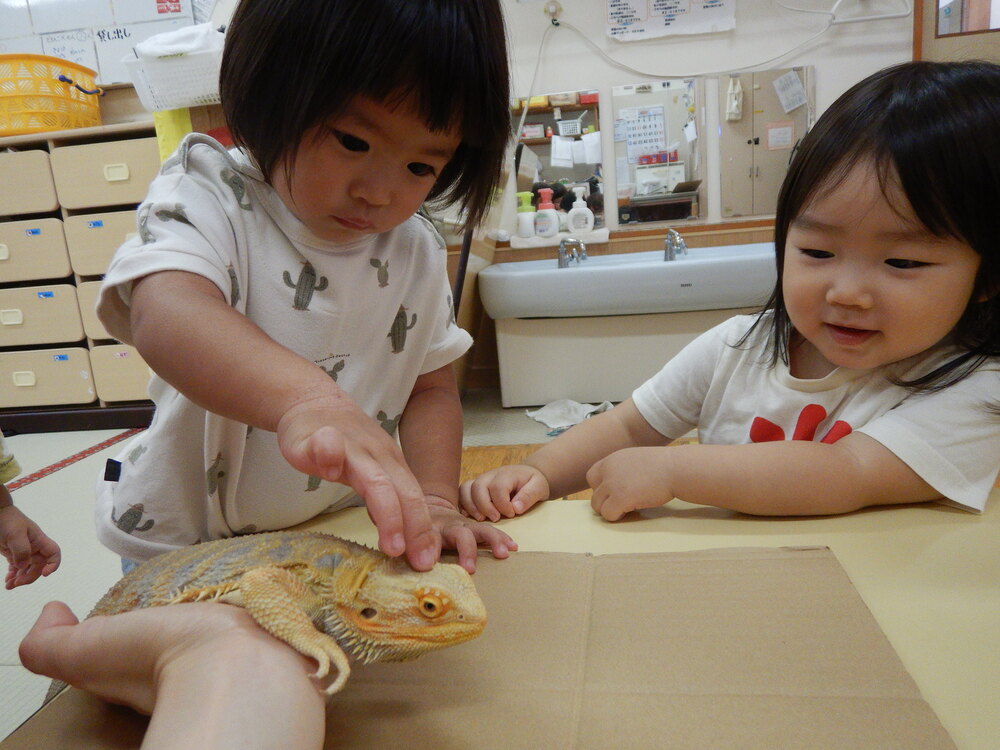 生き物と触れ合う