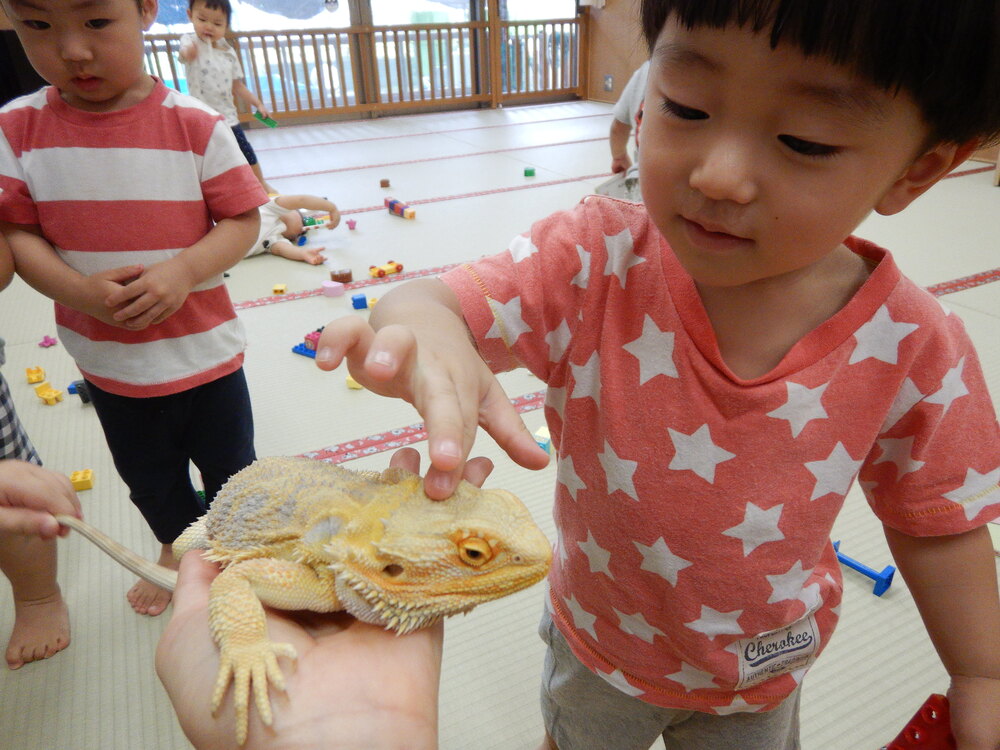 生き物と触れ合う