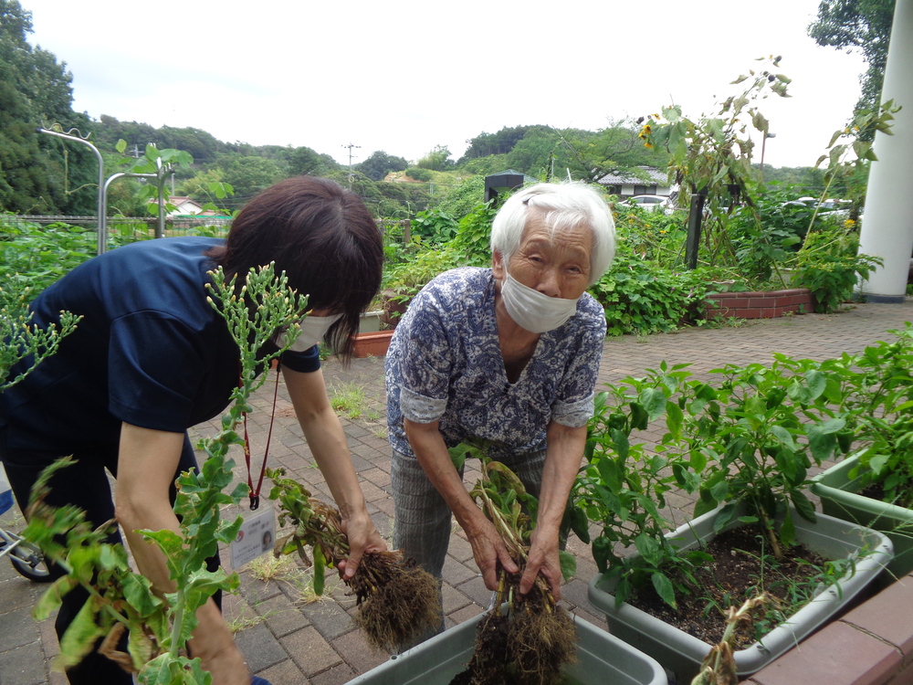 大きい