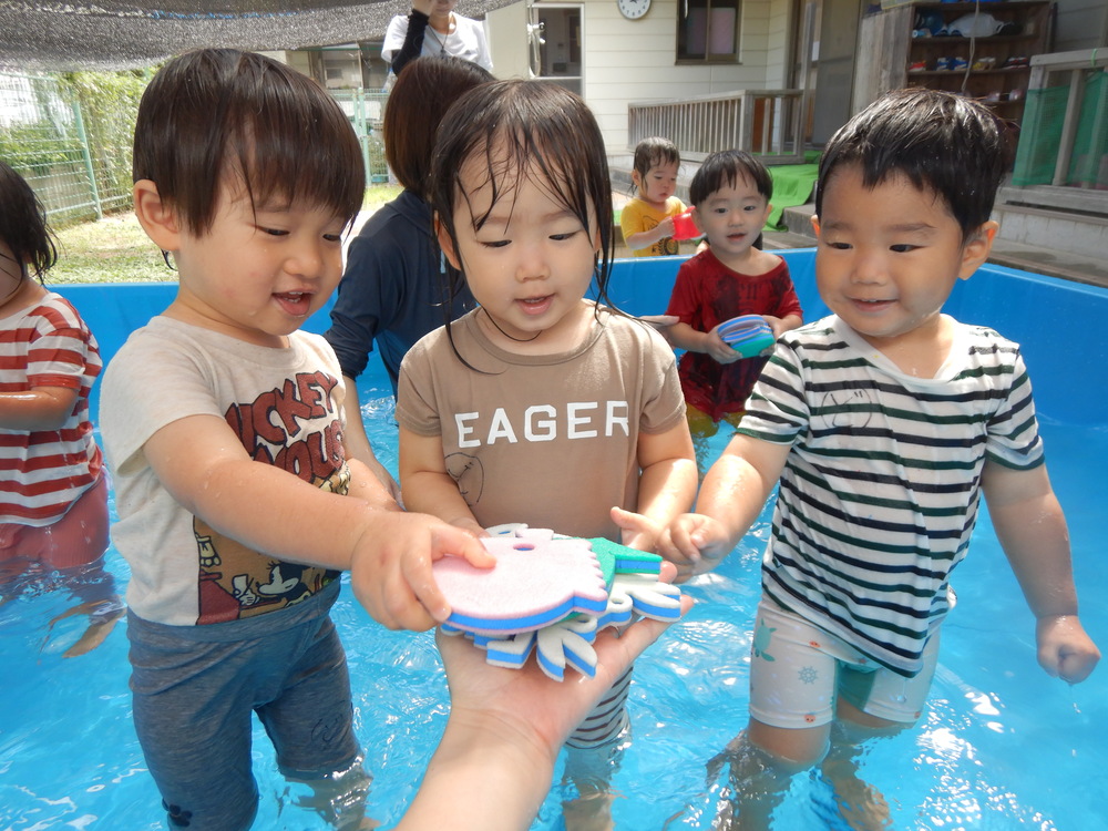 生き物探し