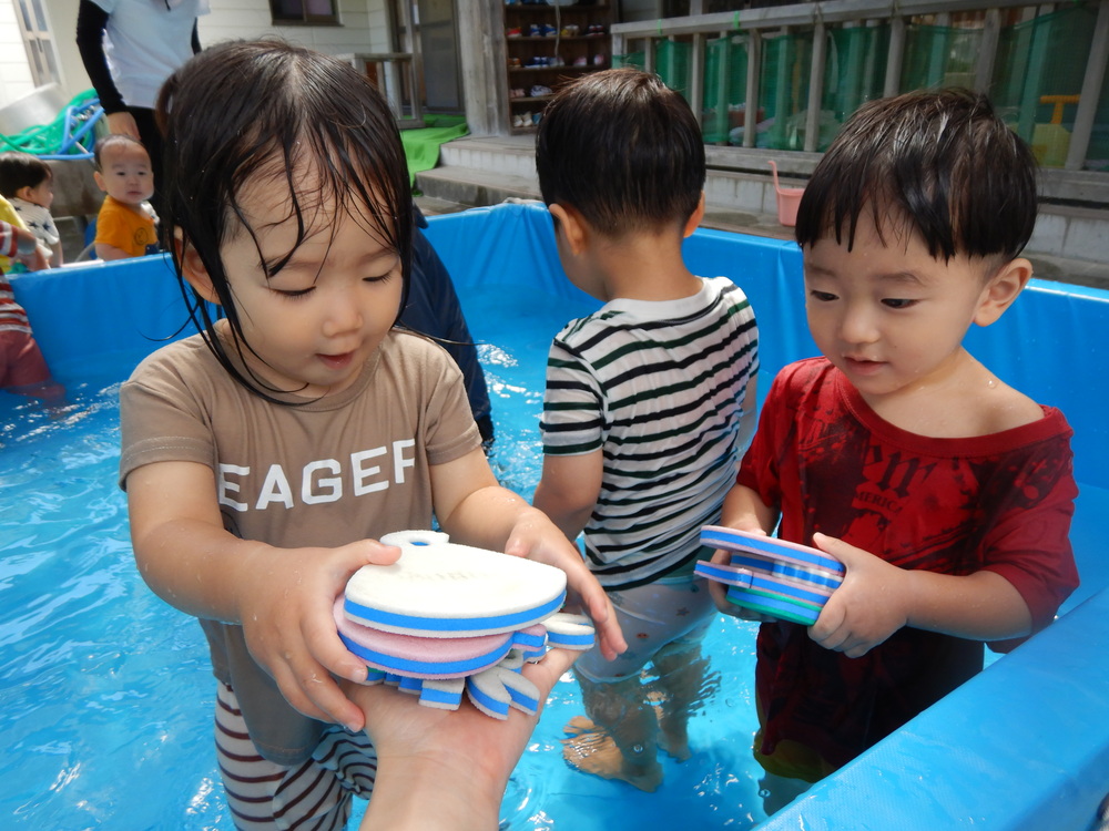 生き物探し