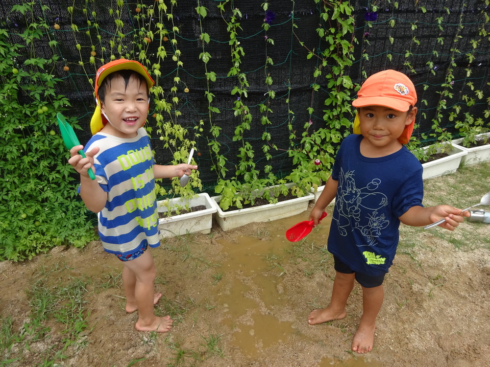 水遊びをする男の子