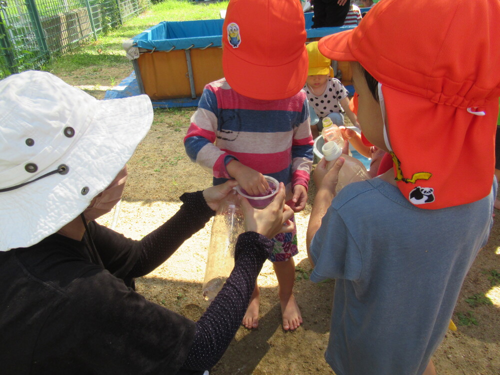 保育者と朝顔の花を絞っている子どもたち