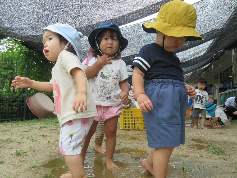 水たまりで遊んでいる