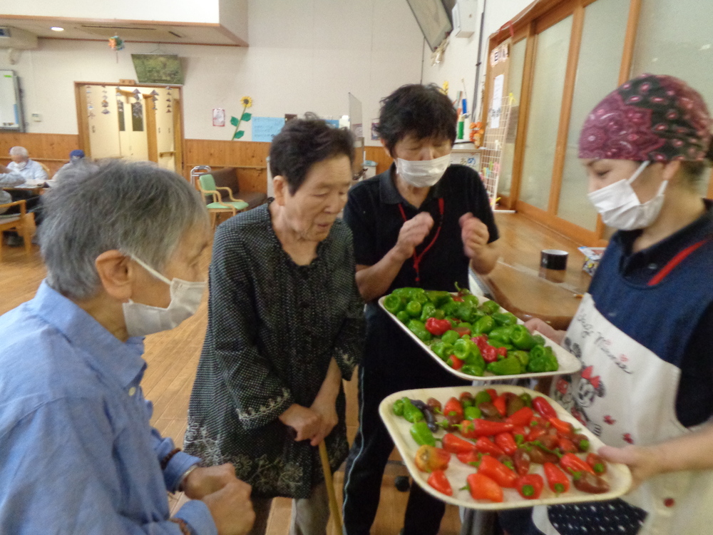 野菜収穫