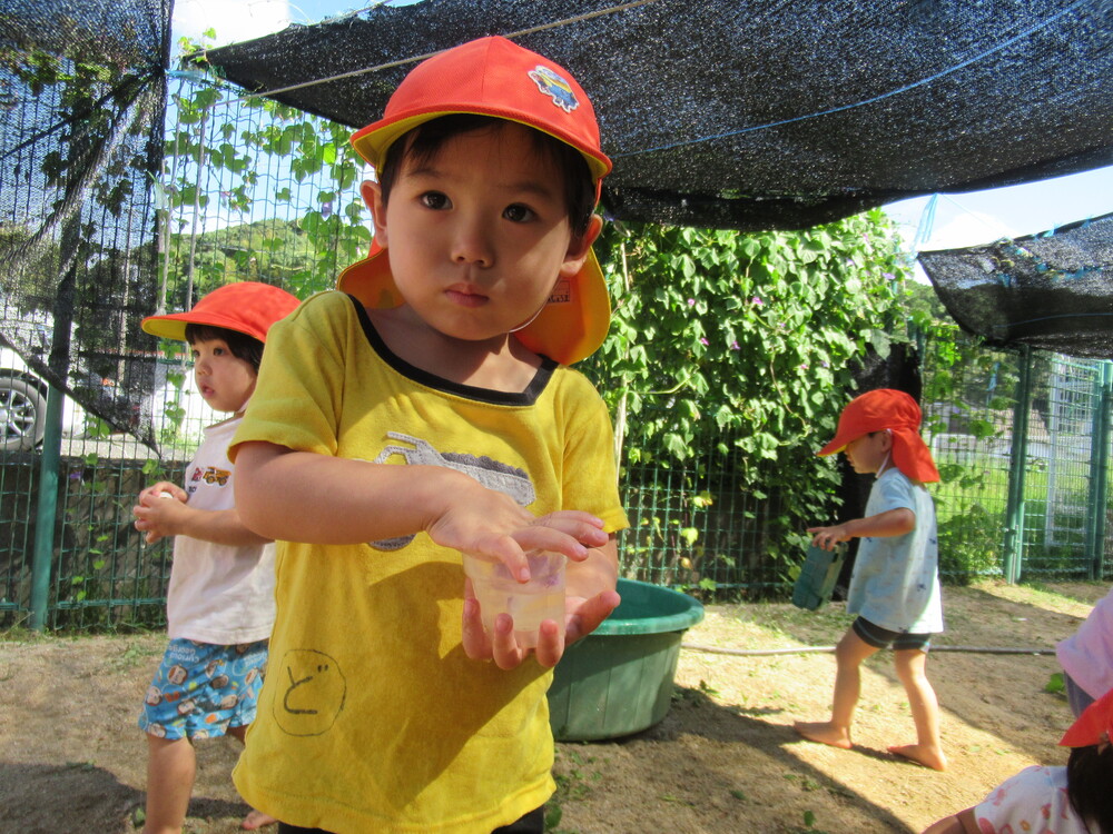 カップに朝顔を入れている男の子