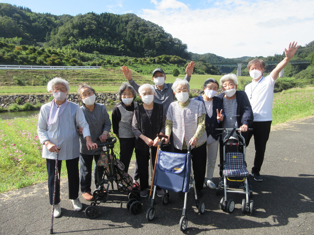 コスモス