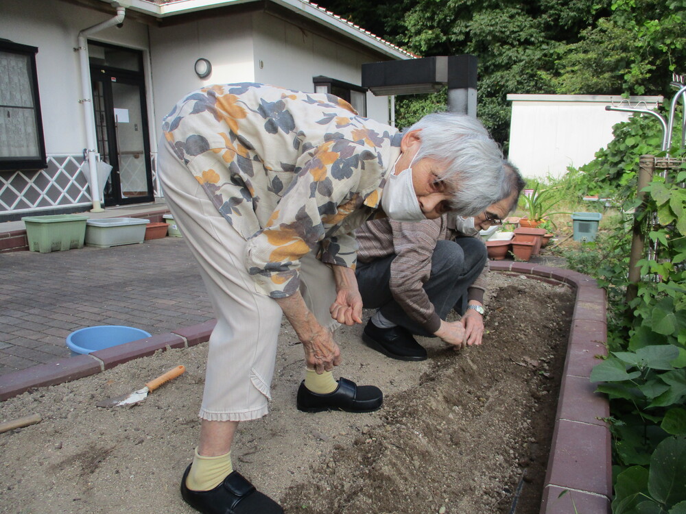 種植え