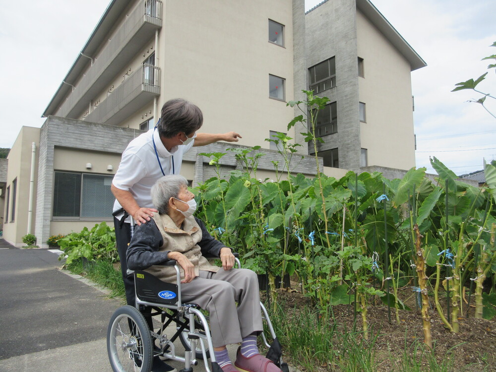 畑を見ている様子