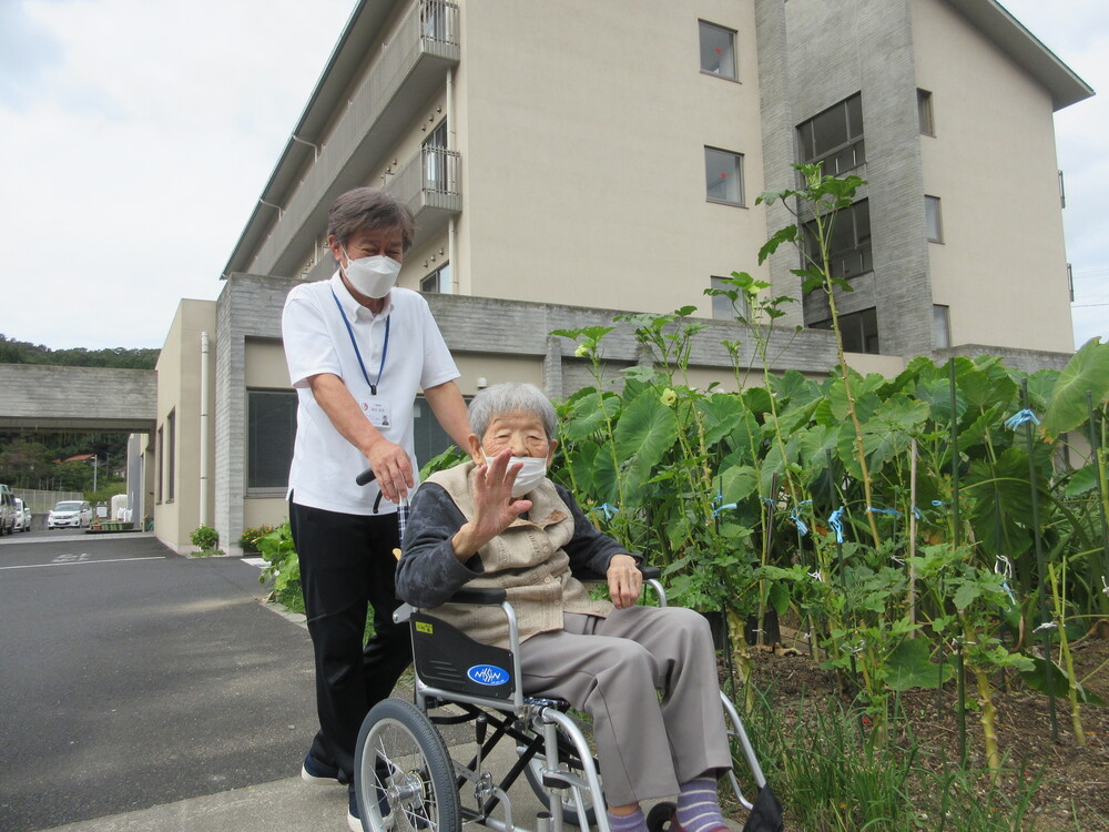 散歩している様子