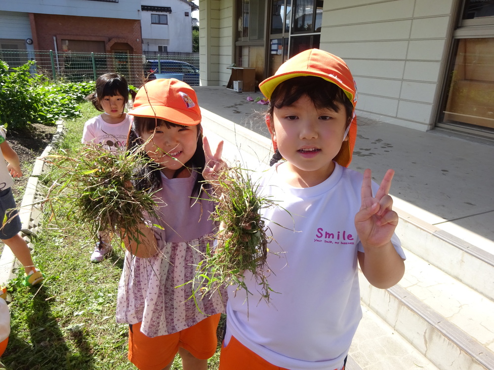 草抜き