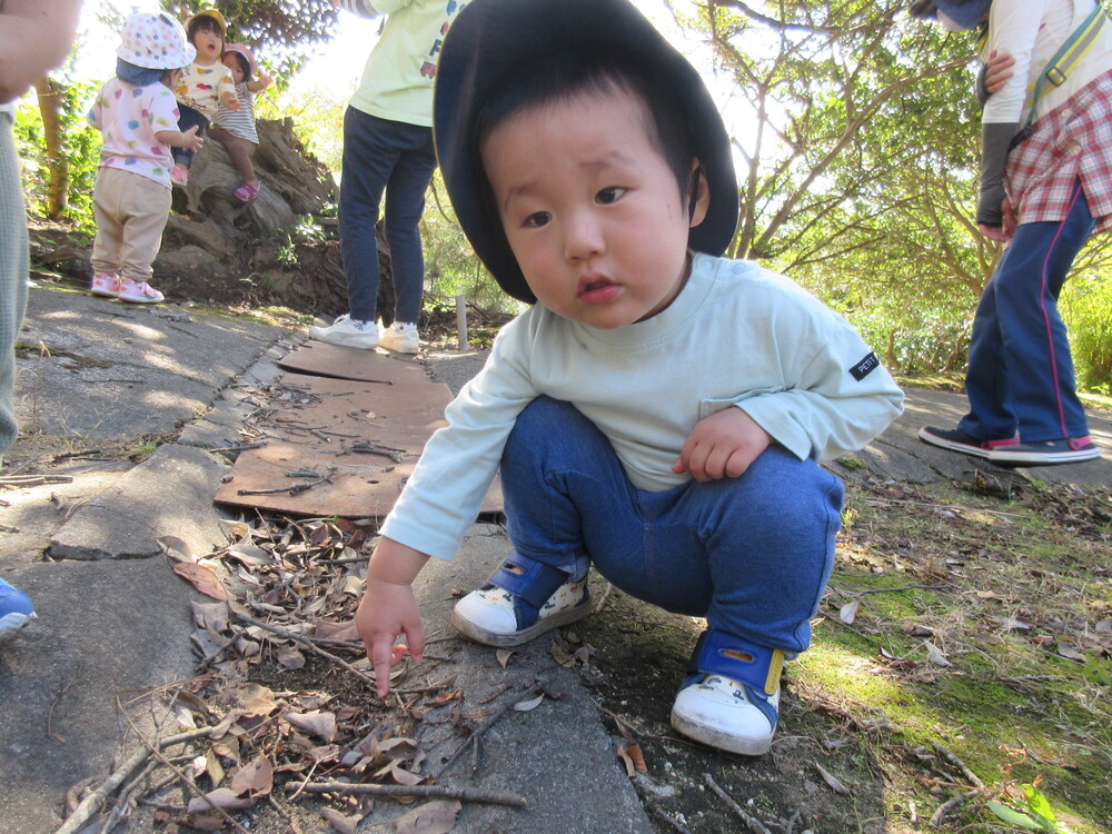 お散歩