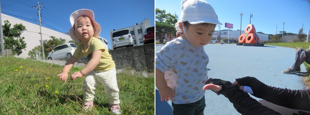 子どもたちが花やドングリを見ている