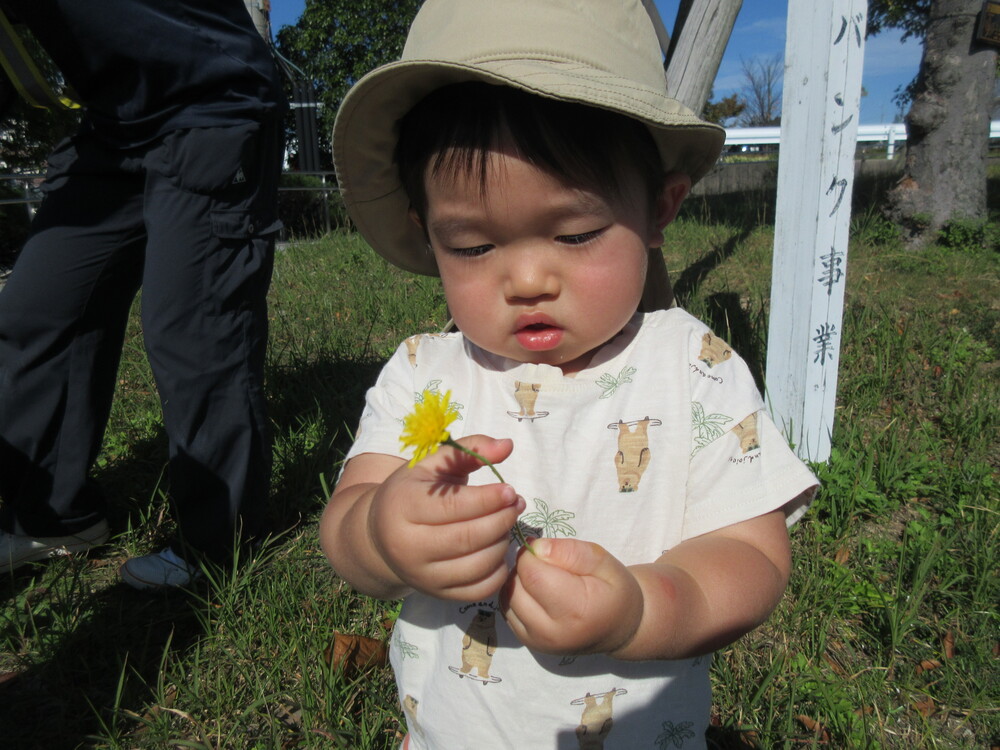 花を見つける