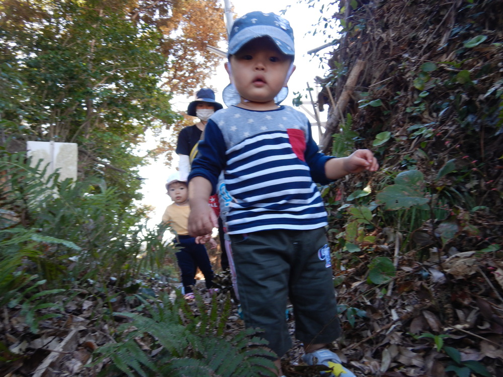 山道を歩く