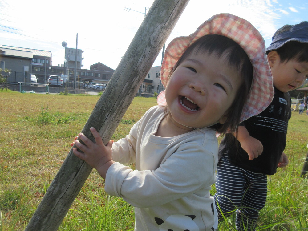 探索活動