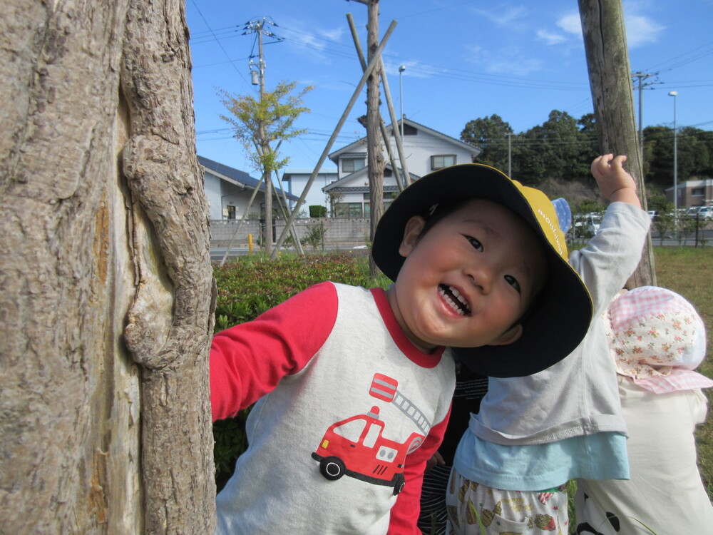 探索活動