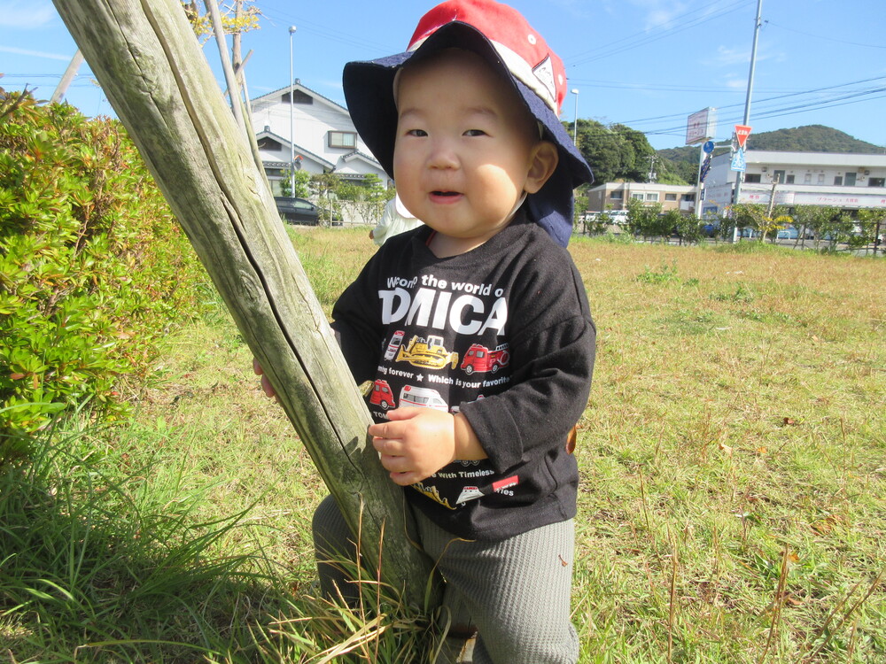 探索活動