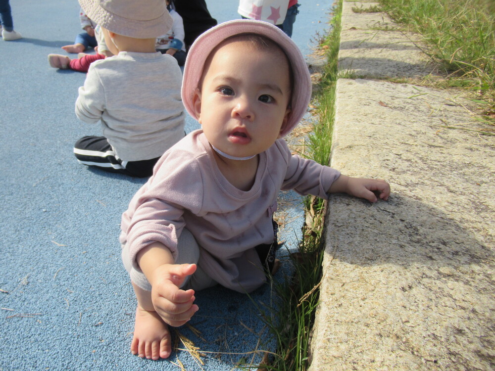 草花を見る女の子