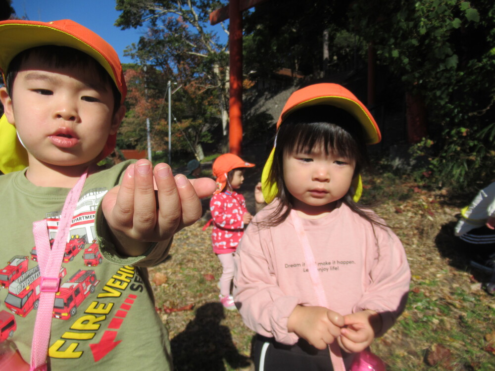 どんぐりを拾った男の子と女の子