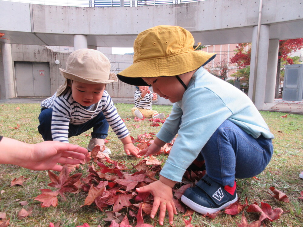 落ち葉遊び