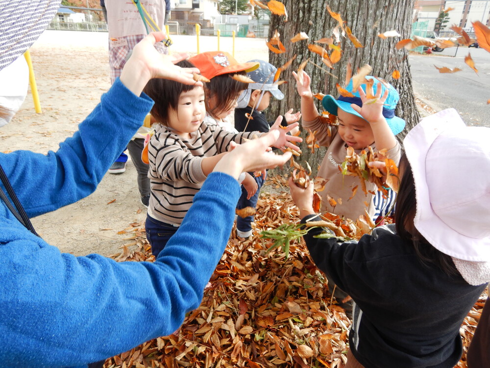 葉っぱのシャワー