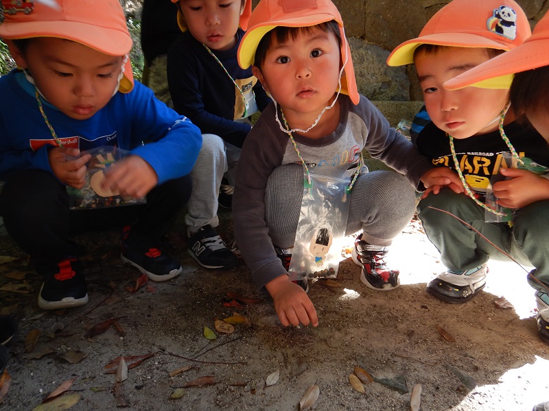 ミミズを見つける子どもたち