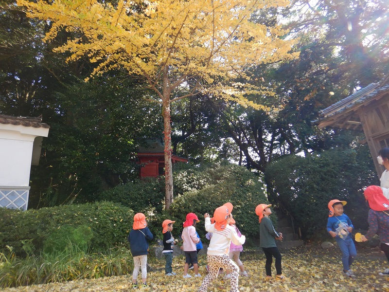 イチョウの木の近くで遊ぶ様子