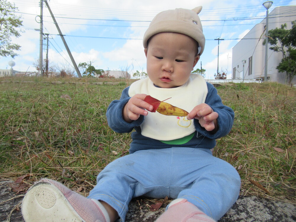 葉っぱを見つけて観察する子ども