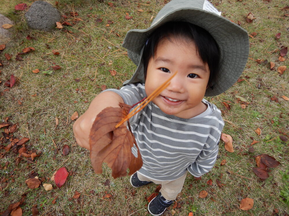 落ち葉で遊ぶ