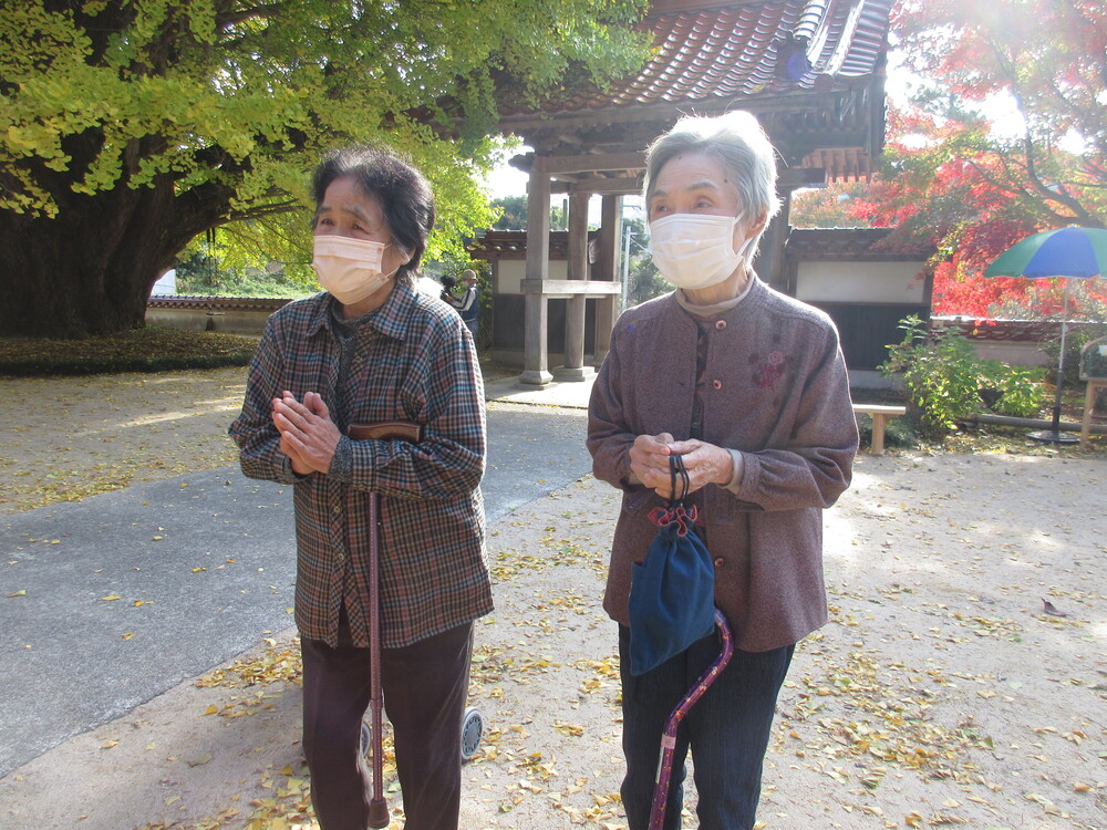 浄善寺大銀杏