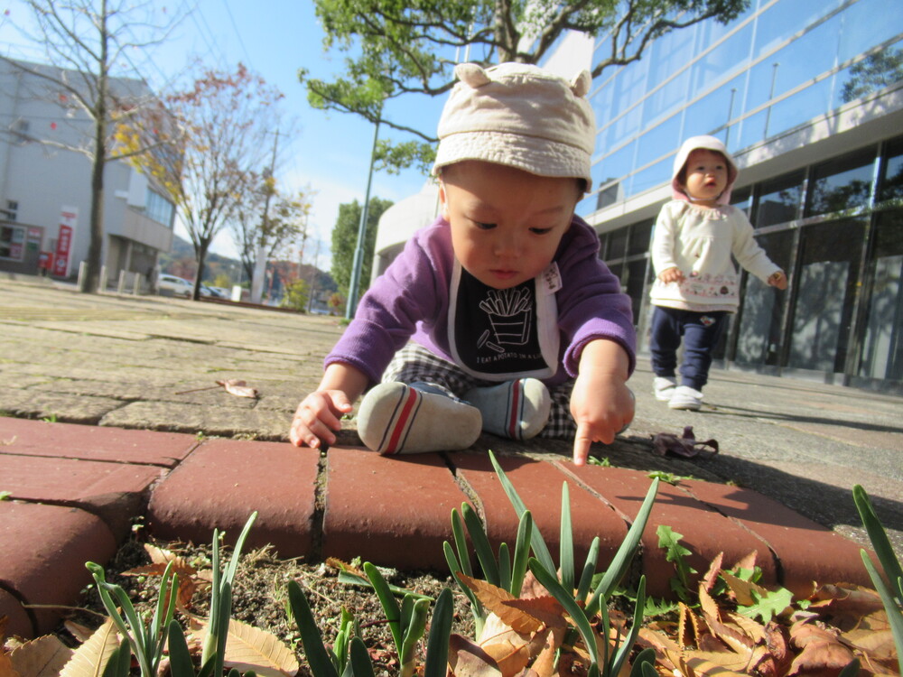 男の子が葉っぱを指さしている