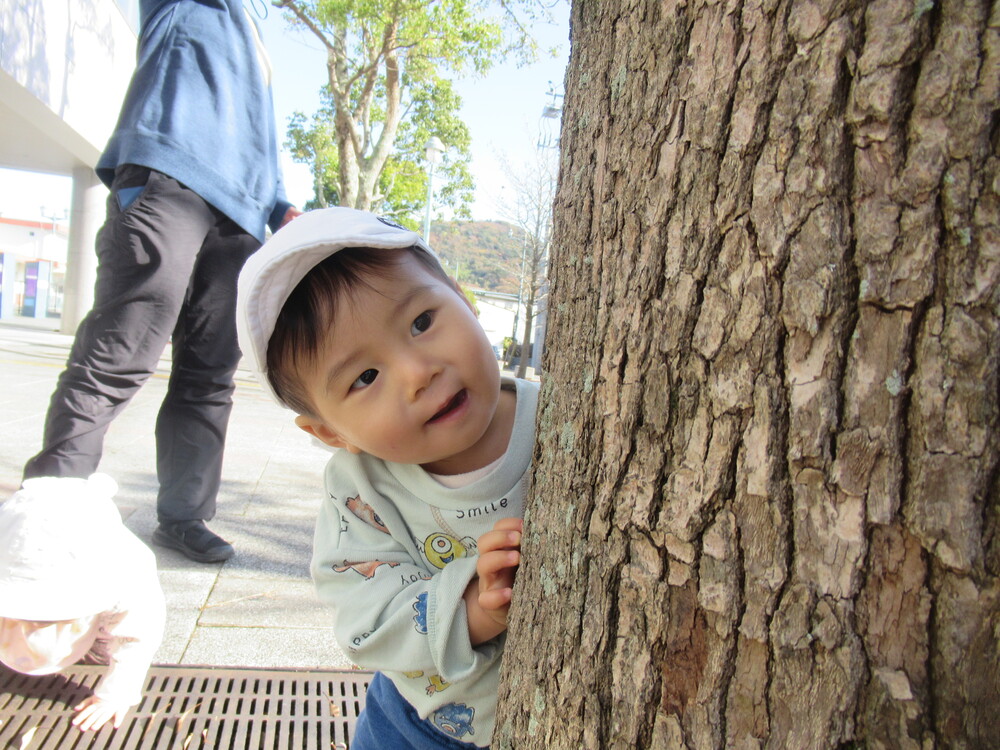 木から顔を出して遊んでいる男の子