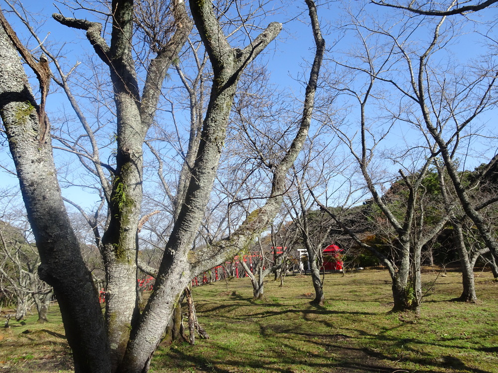 刺鹿神社