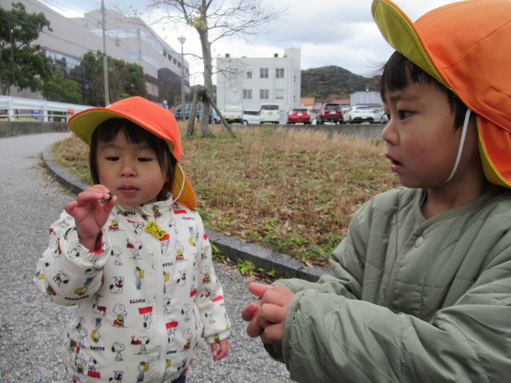 どんぐりを見つけた子どもたち