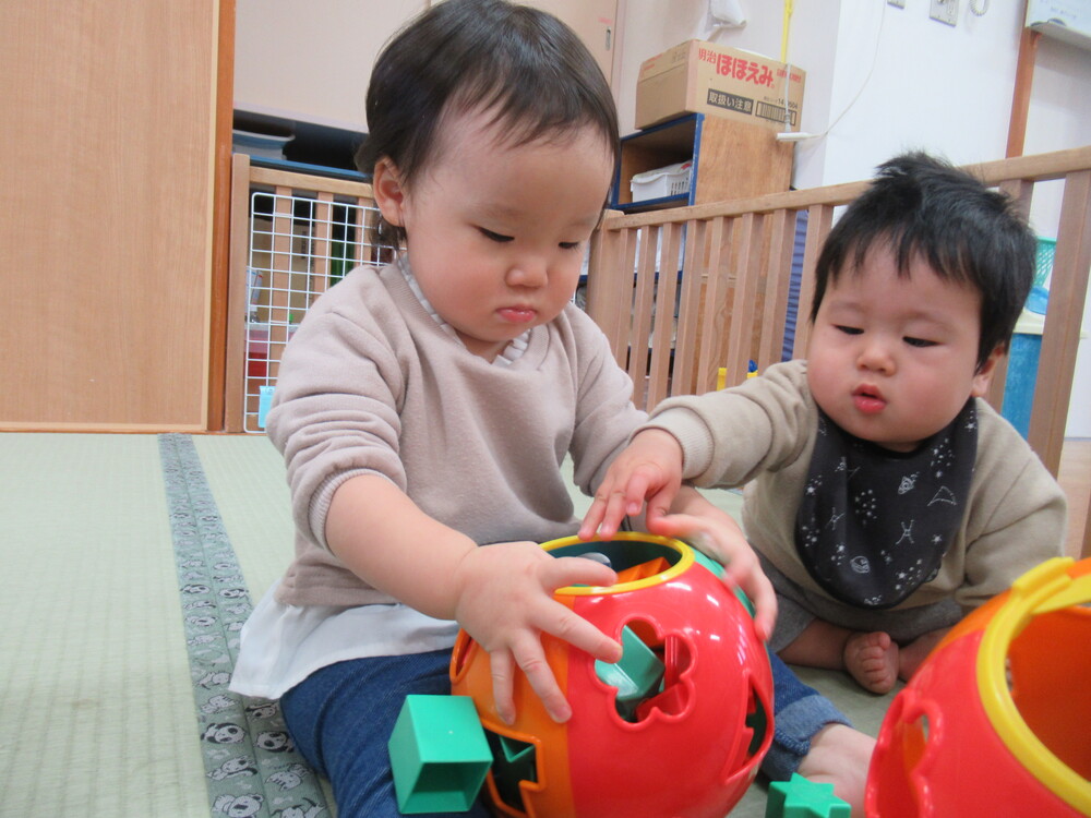 女の子がブロックをたくさんおもちゃに入れている