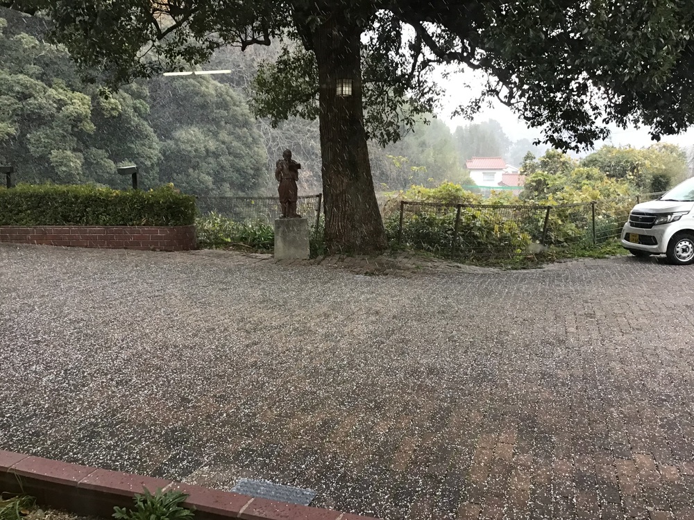 初雪