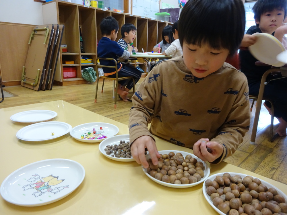 どんぐりを選ぶ様子