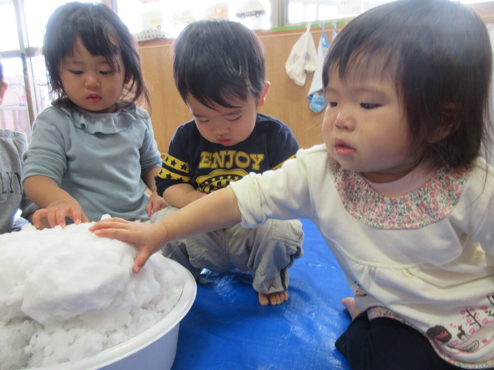 雪に触る