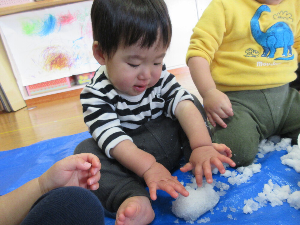 雪に触る